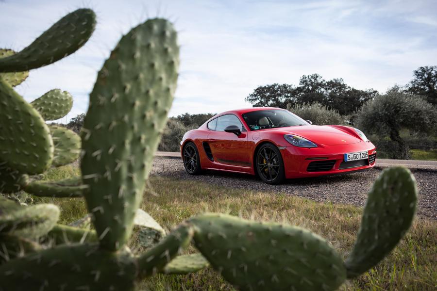  Porsche 718 Cayman T (982C) 2019 года  (WW) (фото 29 из 73)